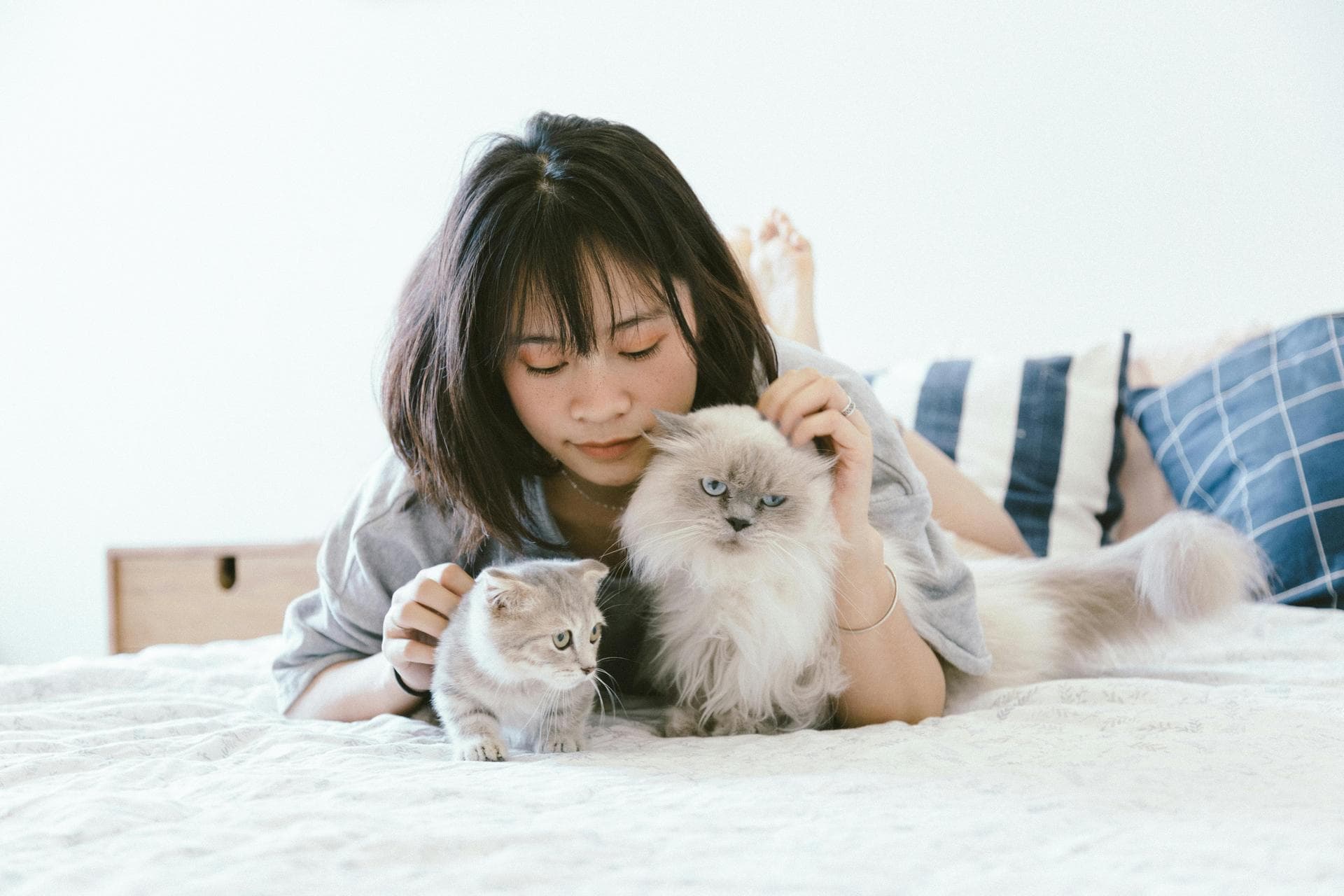 Woman with Persian cat and kitten on bed